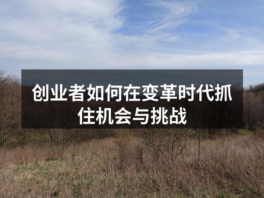 创业者如何在变革时代抓住机会与挑战